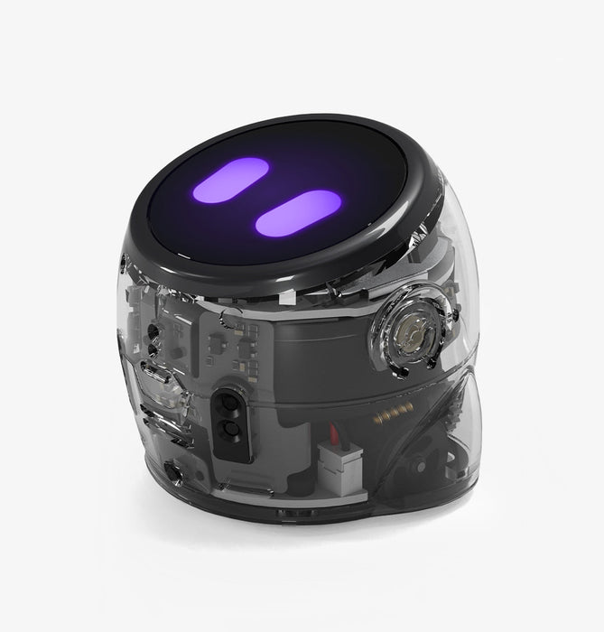 New! Ari Classroom Kit - 18 Bots