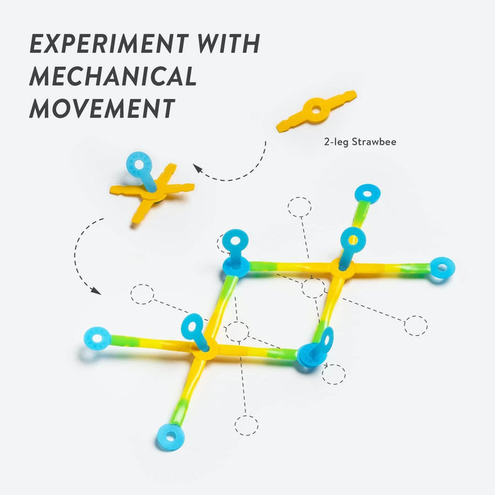 Bundle: STEAM Classroom Robotics - micro:bit Included