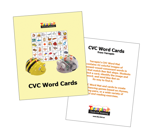 Bee & Blue Bot - Word Cards