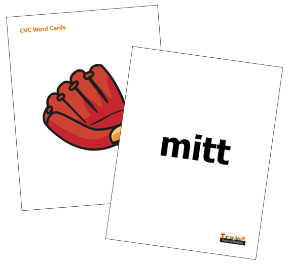 Blue-Bot & Bee-Bot Word Cards