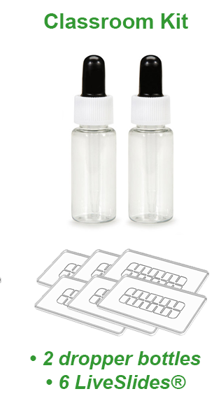 LiveSlides® Classroom Kit