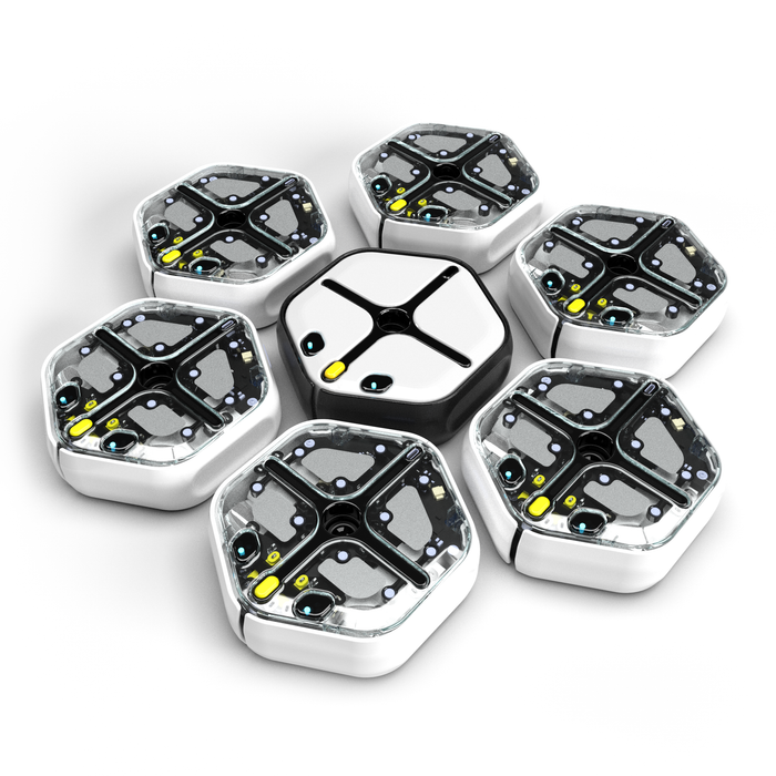 Root® Combo Bundle (7 Pack)