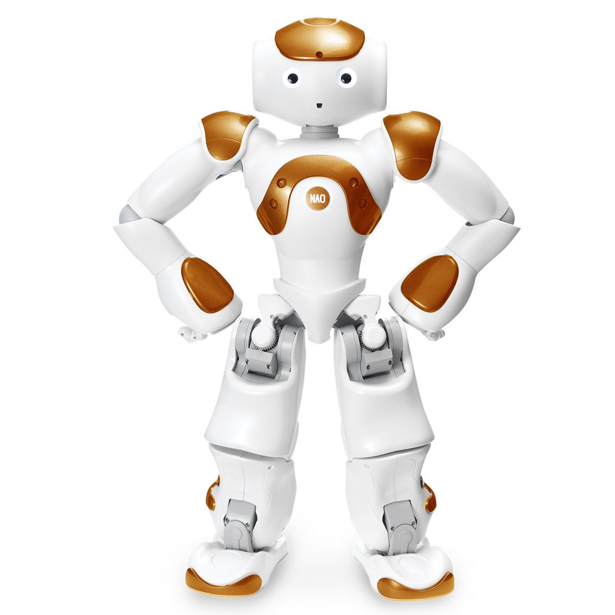 Nao 2024 robot cost