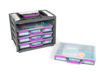 Hummingbird Starter Flock with Rover Project Pack