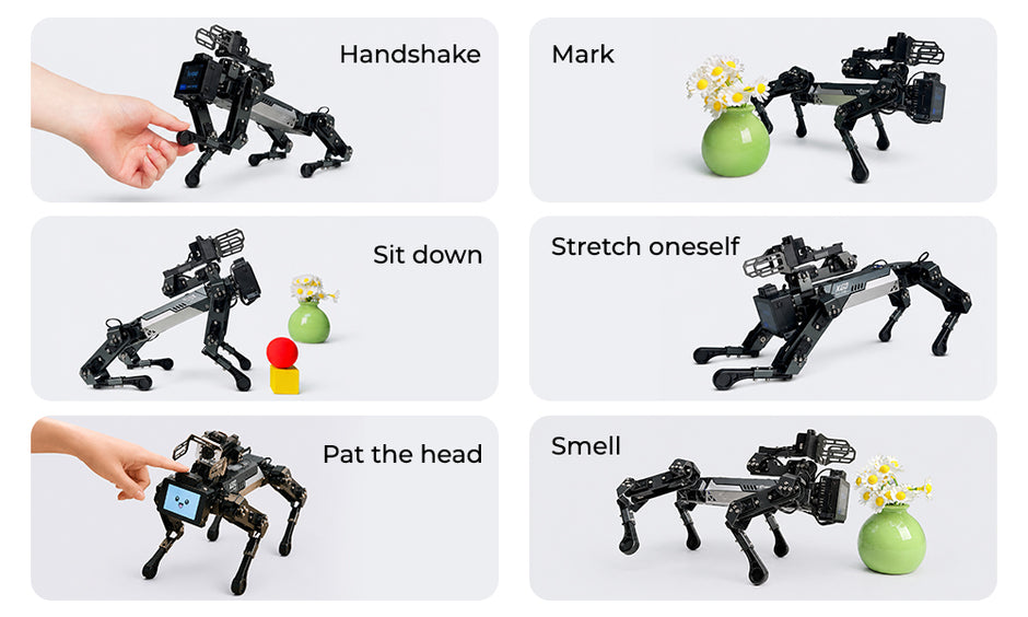 ELECFREAKS CM5 XGO-Lite Robot Dog Kit