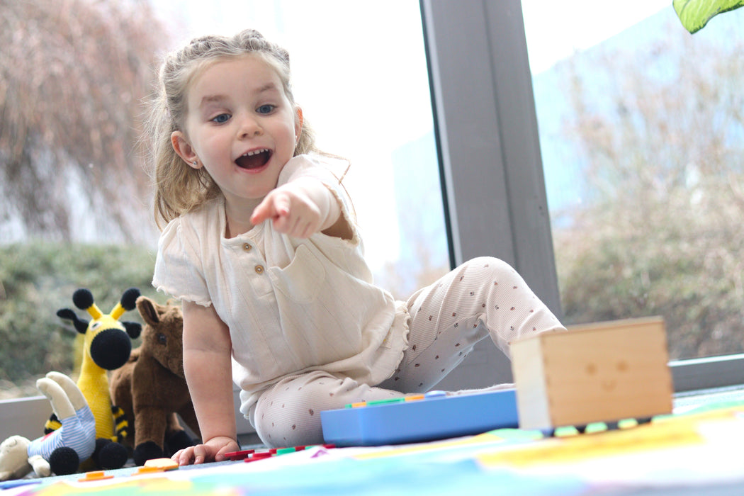 NEW! Cubetto+ Playset