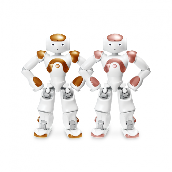SoftBank Robotics NAO AI Edition- Copper/Rose Color Choice (Shipping Costs will Apply)