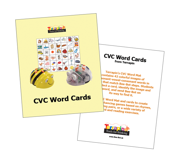 Blue-Bot & Bee-Bot Word Cards