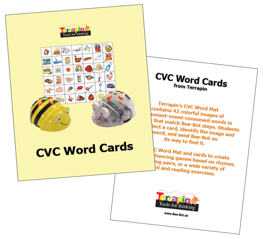 Bee & Blue Bot - Word Cards